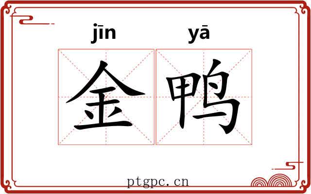 金鸭