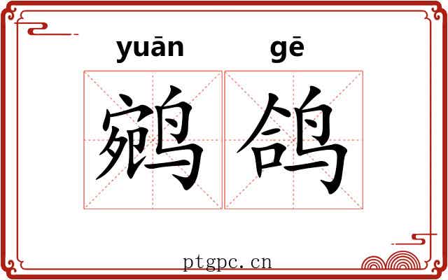 鹓鸽