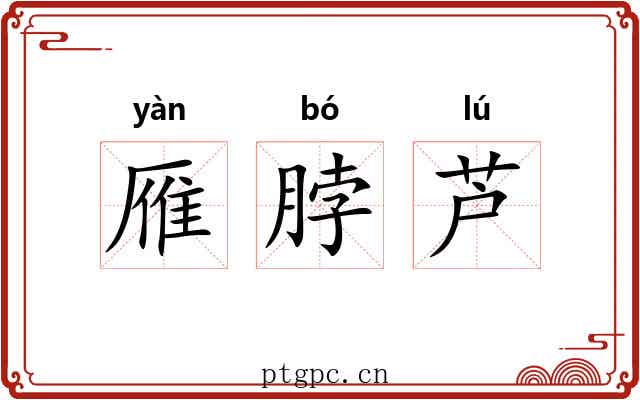 雁脖芦