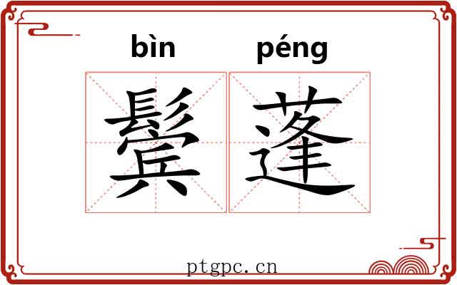 鬓蓬