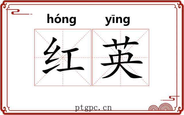 红英 红英