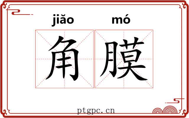 角膜 角膜