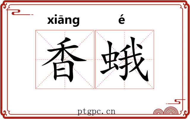 香蛾 香蛾