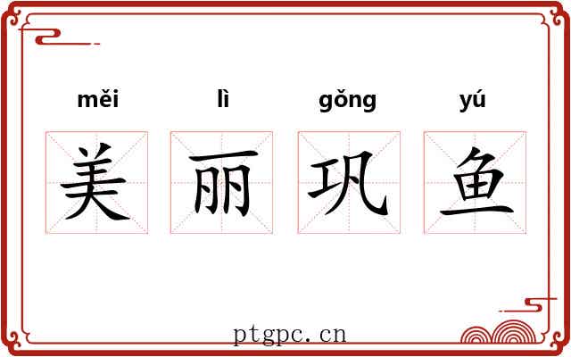 美丽巩鱼 美丽巩鱼