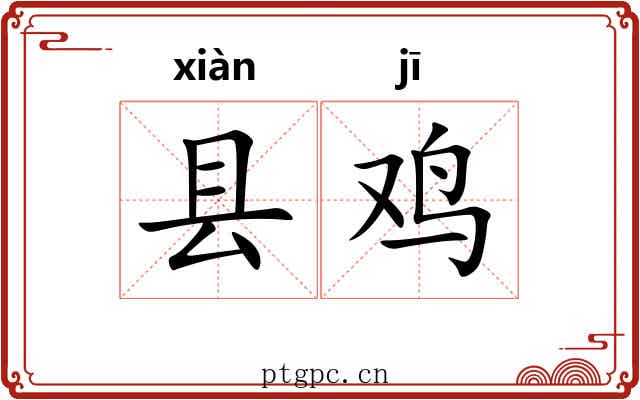 县鸡