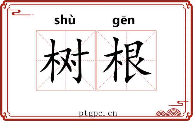树根 树根