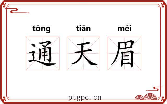 通天眉 通天眉