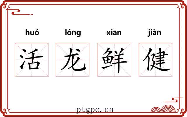 活龙鲜健 活龙鲜健