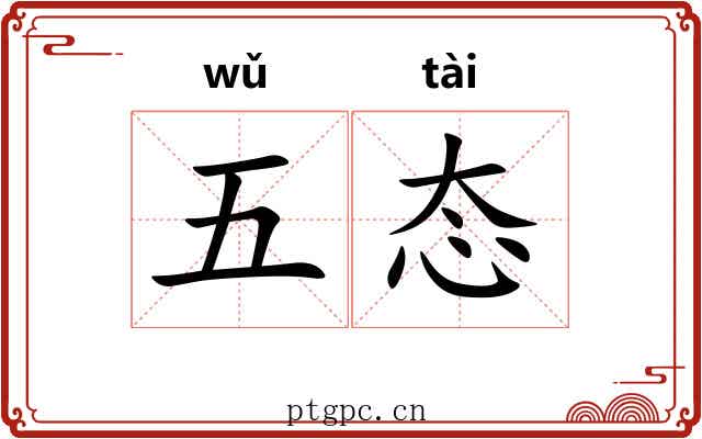 五态 五态