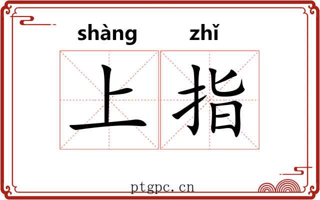 上指 上指