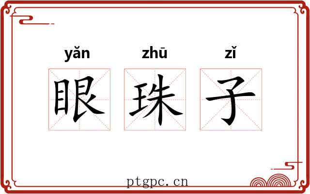 眼珠子 眼珠子