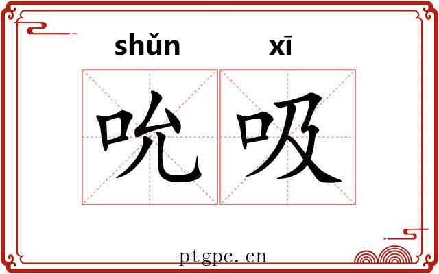吮吸 吮吸