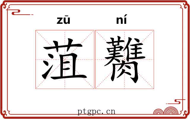 菹臡
