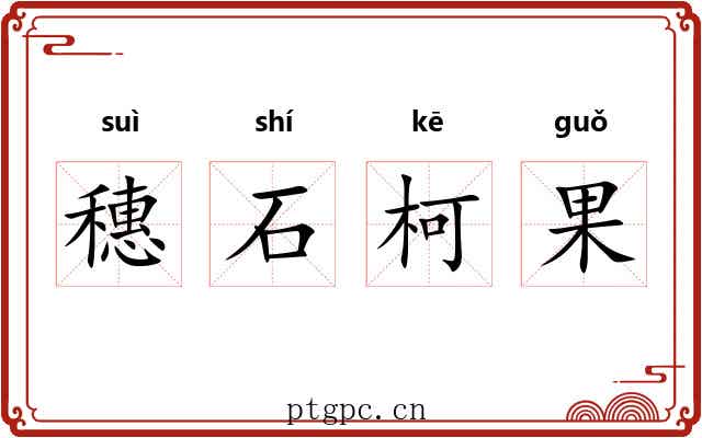 穗石柯果 穗石柯果