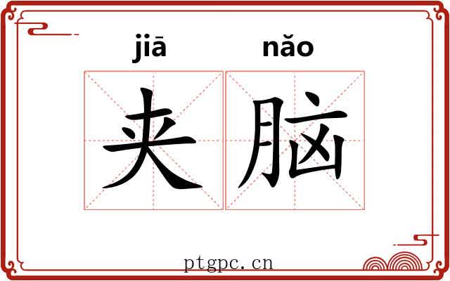 夹脑 夹脑