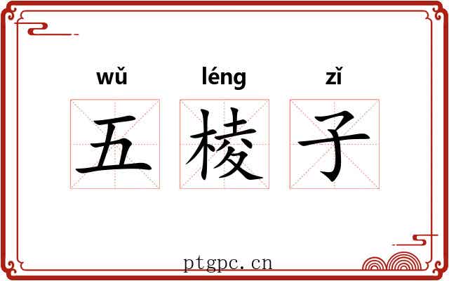 五棱子