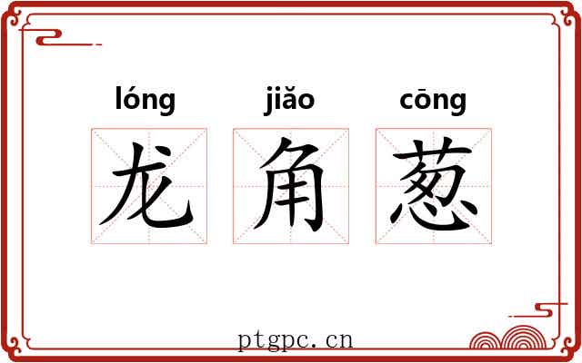 龙角葱