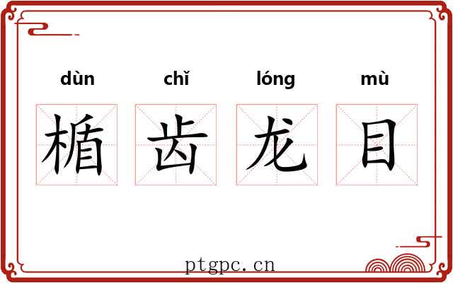楯齿龙目 楯齿龙目