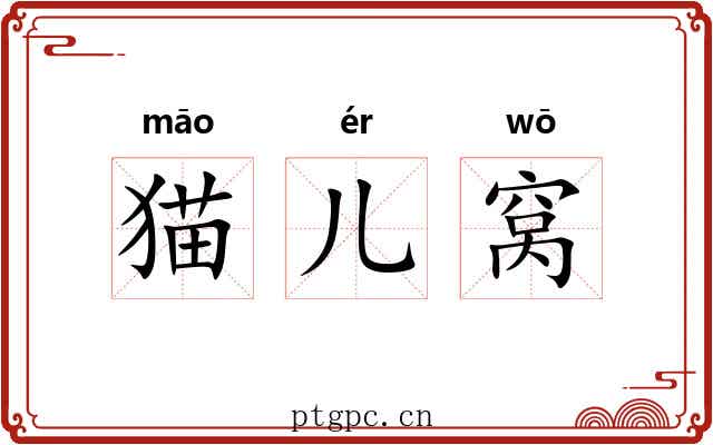 猫儿窝 猫儿窝