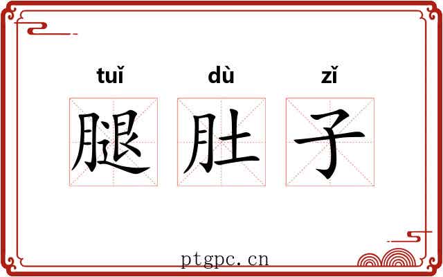 腿肚子