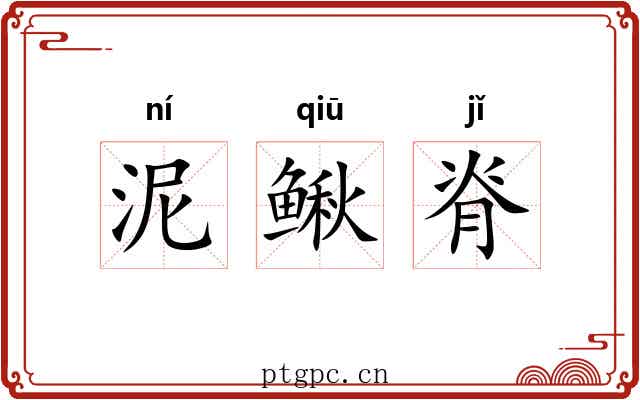 泥鳅脊 泥鳅脊