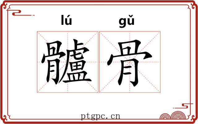 髗骨