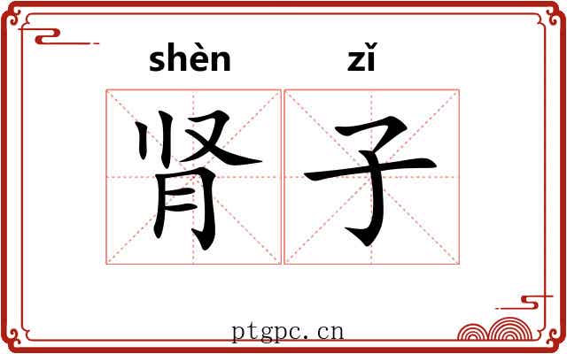 肾子