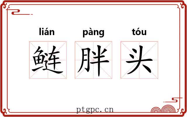 鲢胖头