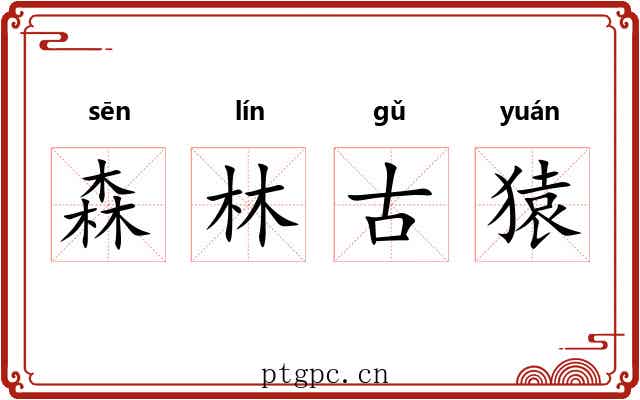森林古猿