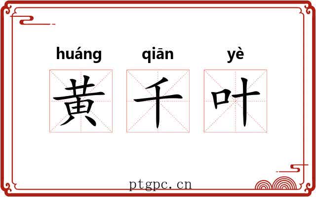 黄千叶