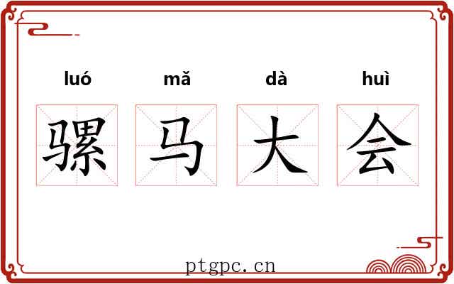 骡马大会