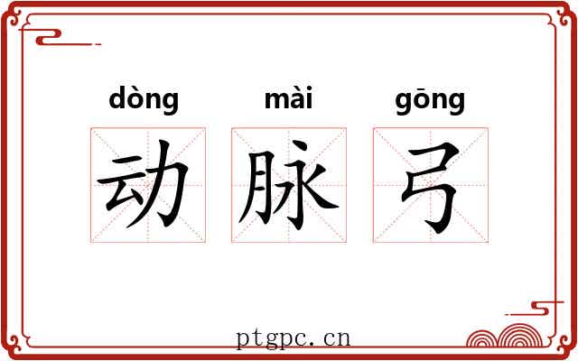 动脉弓
