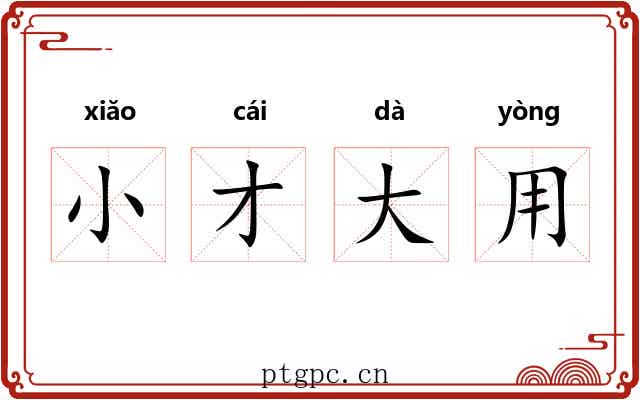 小才大用