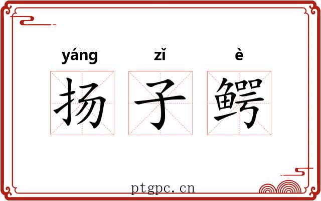 扬子鳄 扬子鳄