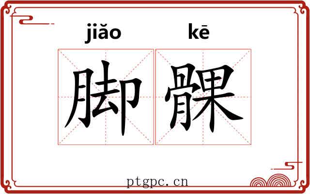 脚髁