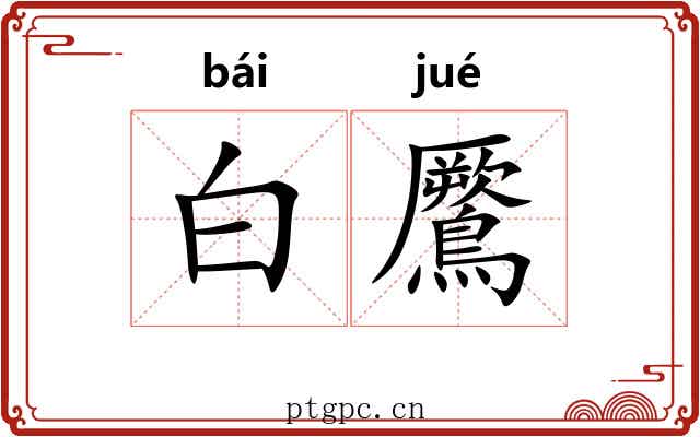 白鷢 白鷢