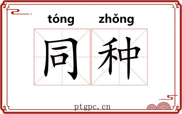 同种 同种