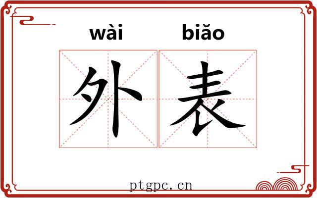 外表 外表