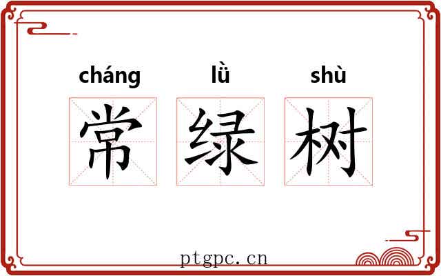常绿树