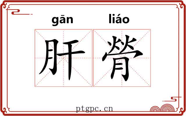 肝膋