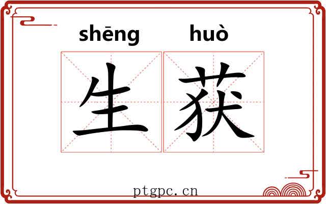 生获