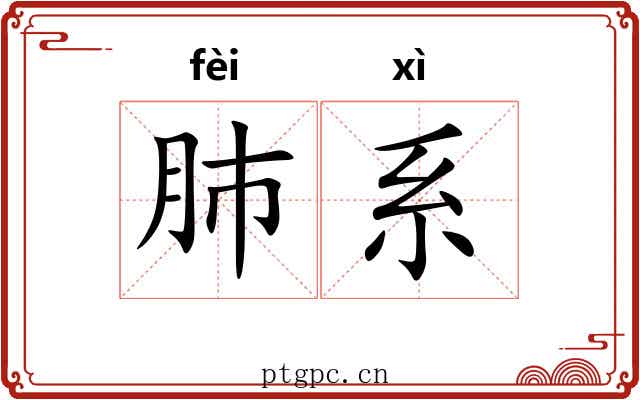 肺系