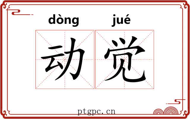 动觉
