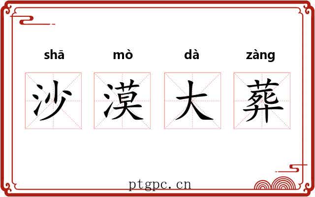 沙漠大葬 沙漠大葬
