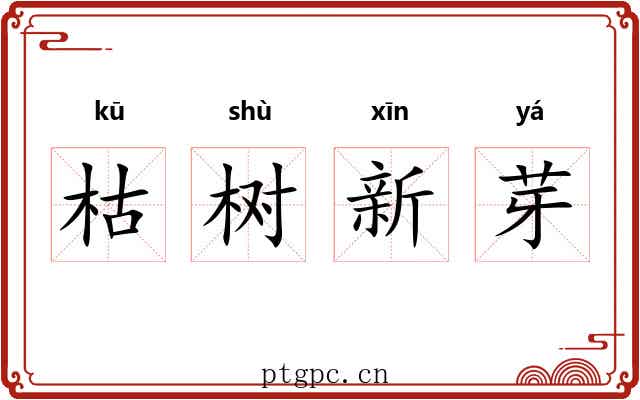 枯树新芽