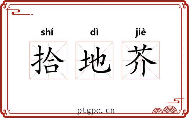 拾地芥