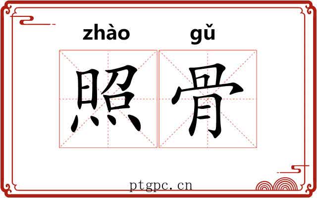 照骨