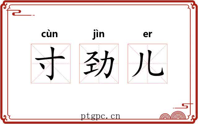 寸劲儿