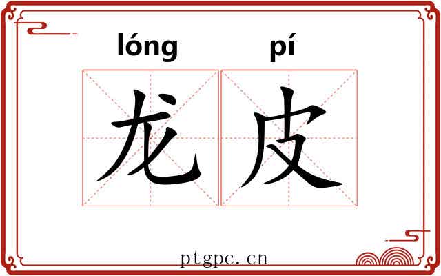 龙皮