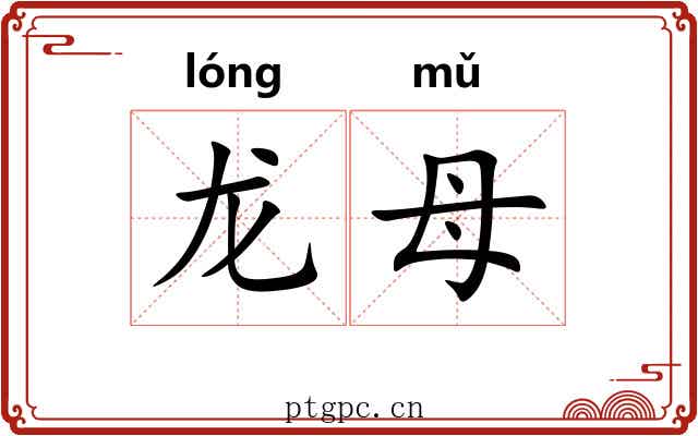龙母 龙母
